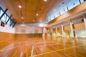 Specialists in Sports Hall Maintenance and Repair